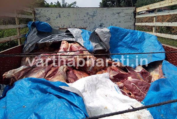 ಉಪ್ಪಿನಂಗಡಿ ; ಗೋಮಾಂಸ ಸಾಗಾಟ: ಓರ್ವನ ಬಂಧನ